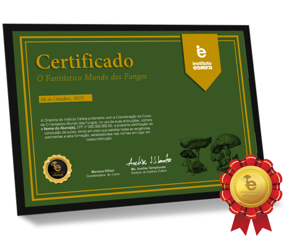 Certificado para o Site - DEFINITIVO